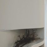 Page_14_Image_6 - Copia